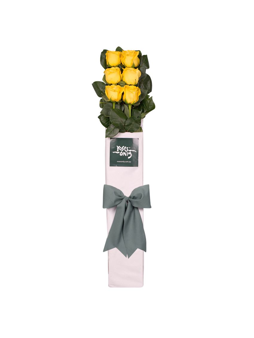 6 Yellow Roses for Valentine's Day Gift Box