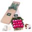 Long Stemmed Roses gift Box Pink 12 with Candle Flowers
