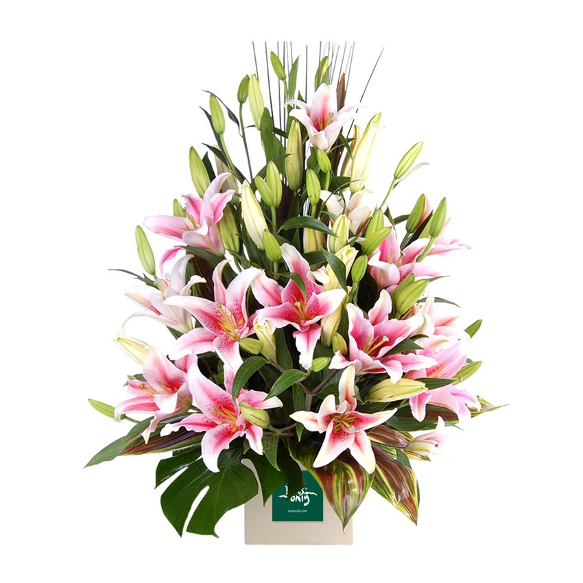 Lovely Lilies Pink