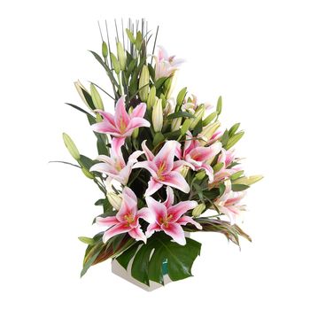 Lovely Lilies Pink Flowers