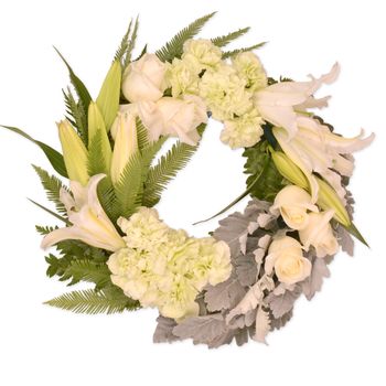 Pale Wreath Flowers