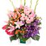 Premium Rainbow Gala Arrangement Flowers