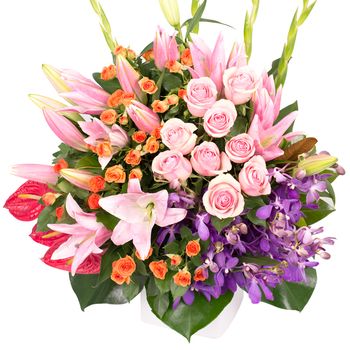 Premium Rainbow Gala Arrangement Flowers