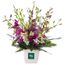 Radiant Orchids Pot Flowers