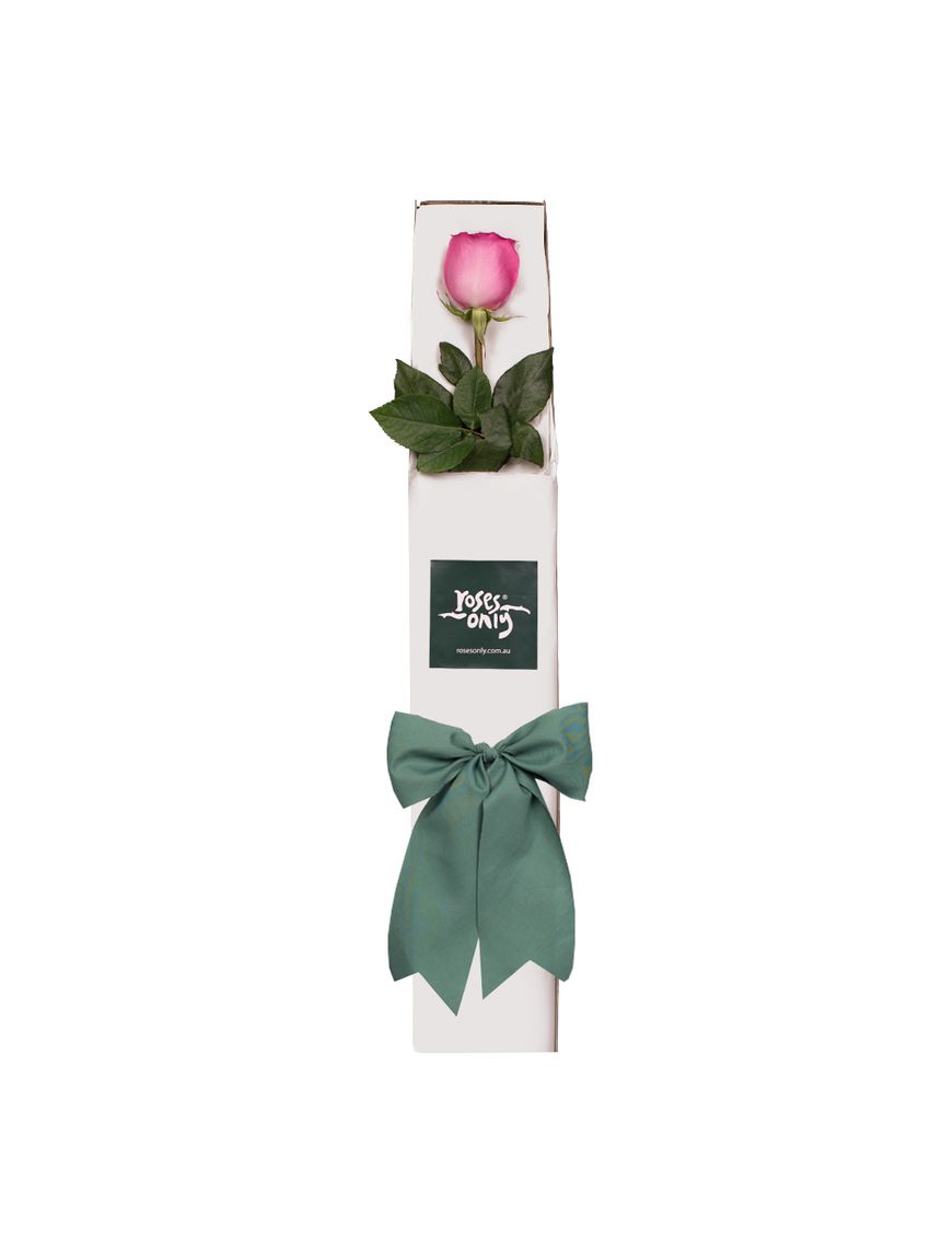 Single Pink Rose for Valentine's Day Gift Box