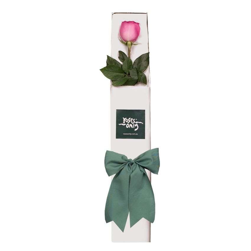 Single Pink Rose for Valentine's Day Gift Box