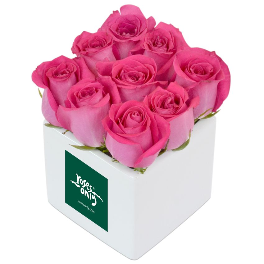 Rose Cube Pink 9 with Jarcake