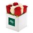 Rose Cube Red and White 9 Flowers