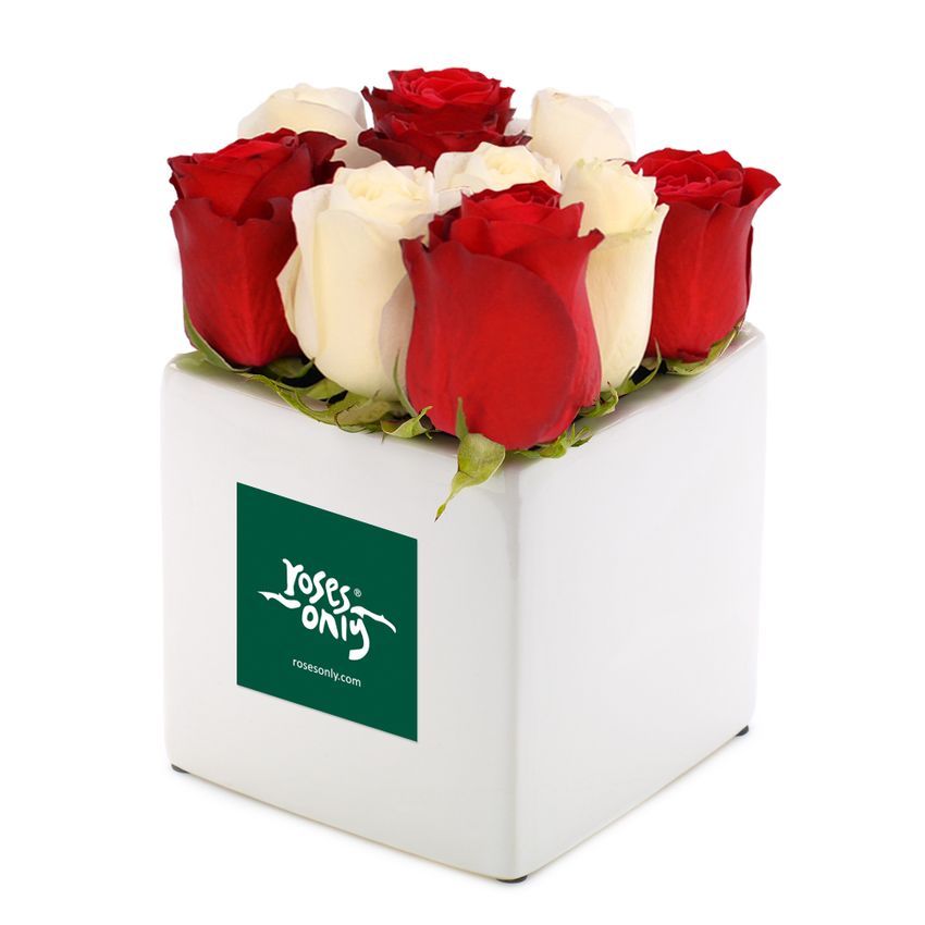 Rose Cube Red and White 9
