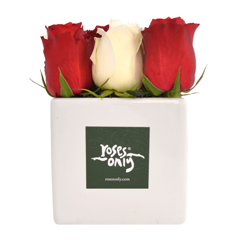 Rose Cube Red and White 9