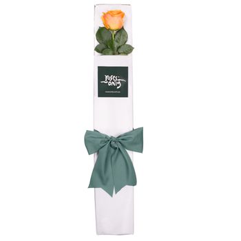 Orange Rose & Chocolates Gift Box Flowers
