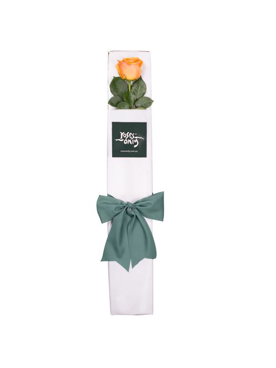 Orange Rose & Chocolates Gift Box Flowers