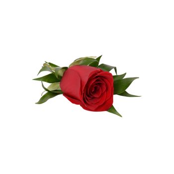 Rouge Rose Buttonhole Flowers
