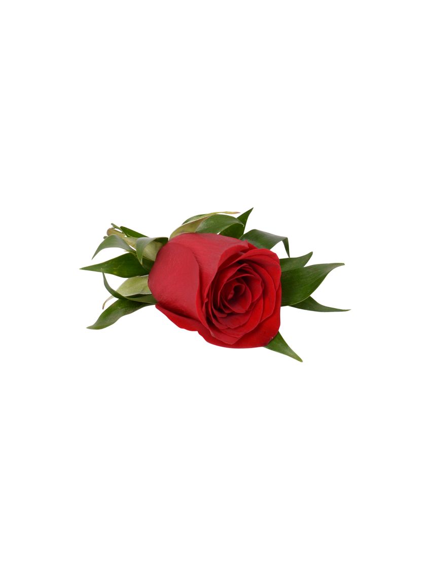 Rouge Rose Buttonhole