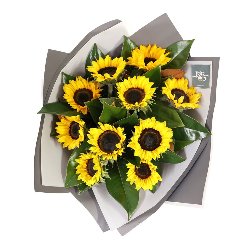 Sunflowers Bouquet 10 Special
