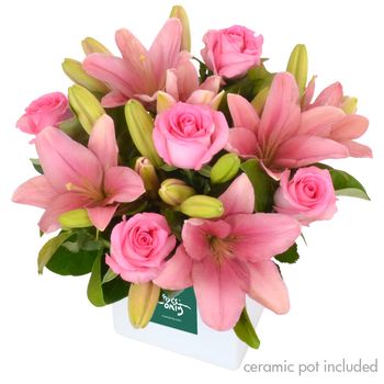 Sweet Delight NBCF Flowers