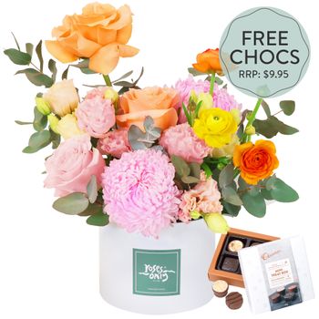 Sweet Sorbet with FREE Chocs Flowers