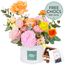 Sweet Sorbet with FREE Chocs Flowers