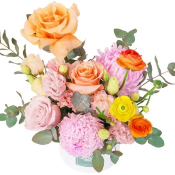 Sweet Sorbet Hatbox Petite Flowers