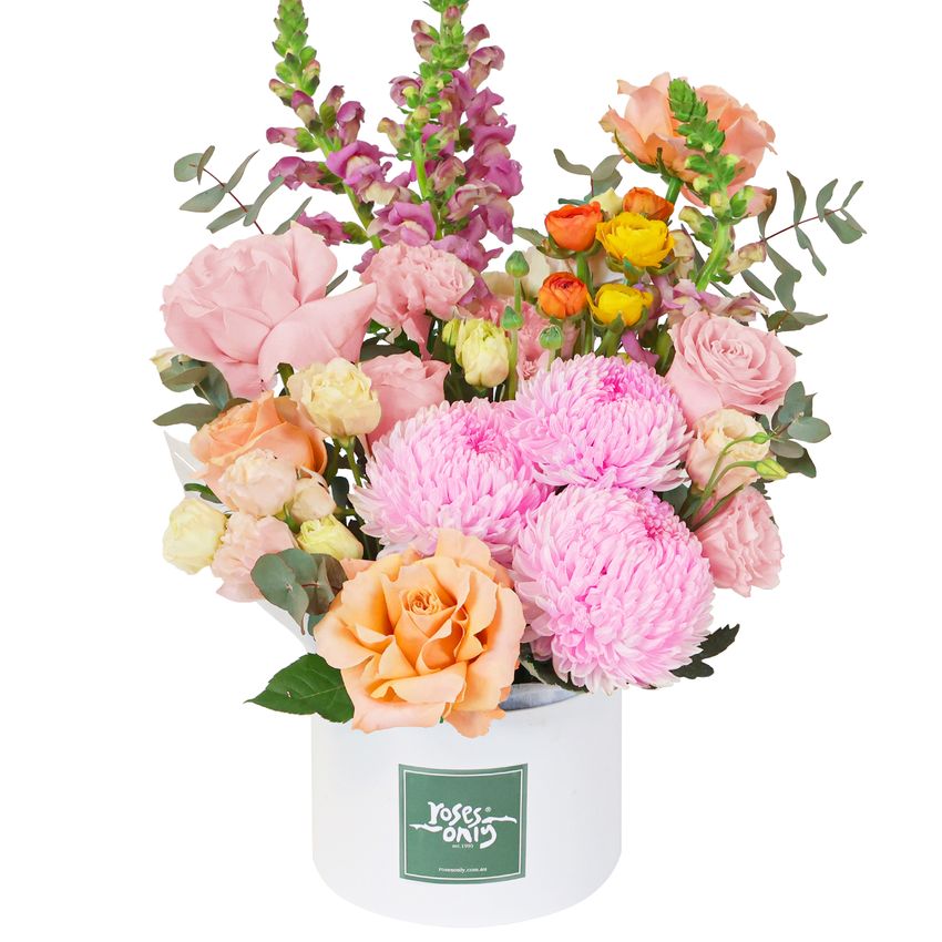 Sweet Sorbet Hatbox Premium