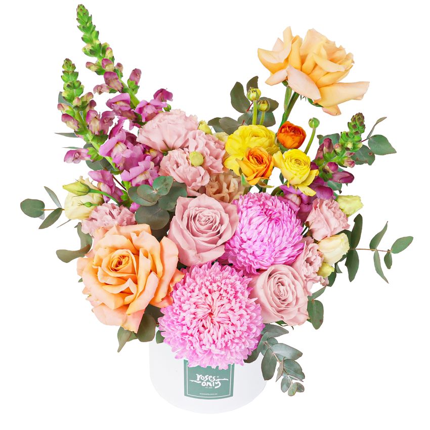 Sweet Sorbet Hatbox