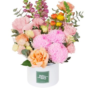 Sweet Sorbet Hatbox Premium Flowers