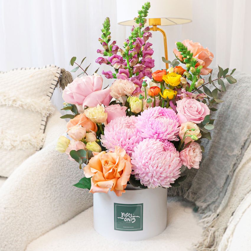Sweet Sorbet Luxe