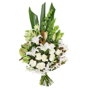 Sheaf White Large Flowers