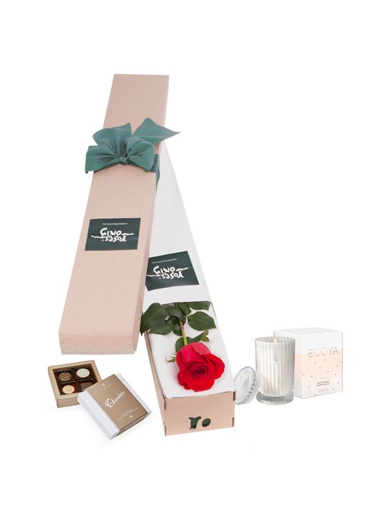 Single Red Rose Pamper for Valentine's Day Gift Box Flowers