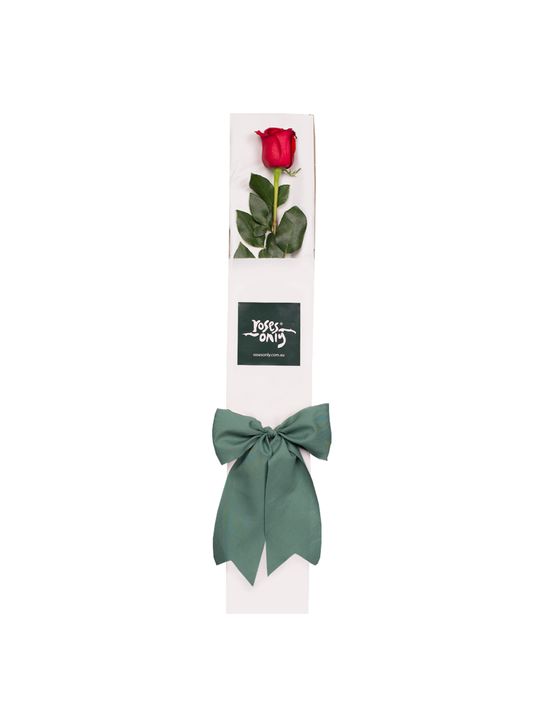 Single Red Rose Pamper for Valentine's Day Gift Box Flowers