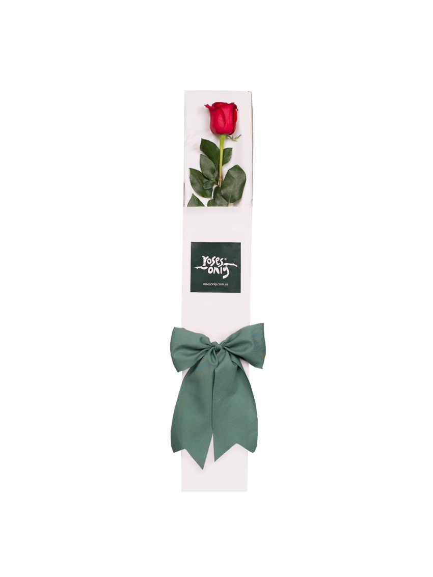 Single Red Rose for Valentine's Day Gift Box