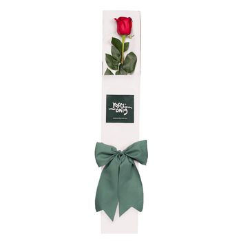 Single Red Rose for Valentine's Day Gift Box Flowers