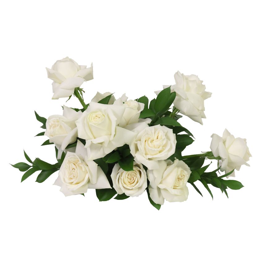 Blanca Table Piece