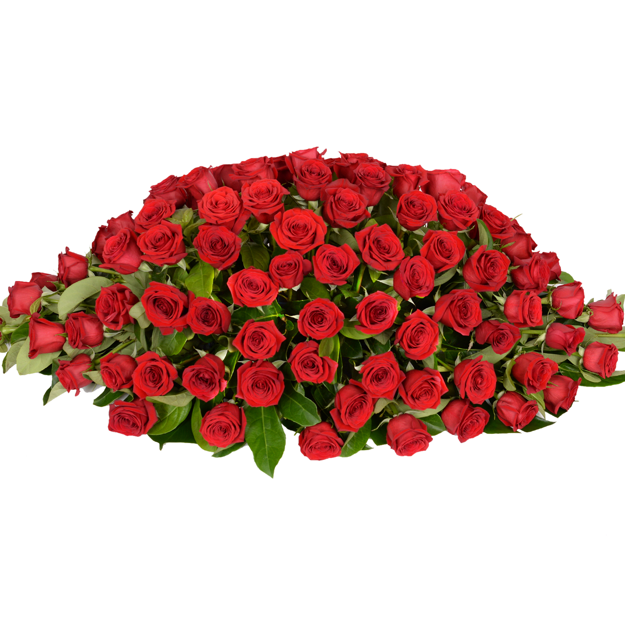 Timeless Red Premium - Roses Only Featured Products delivered to ...