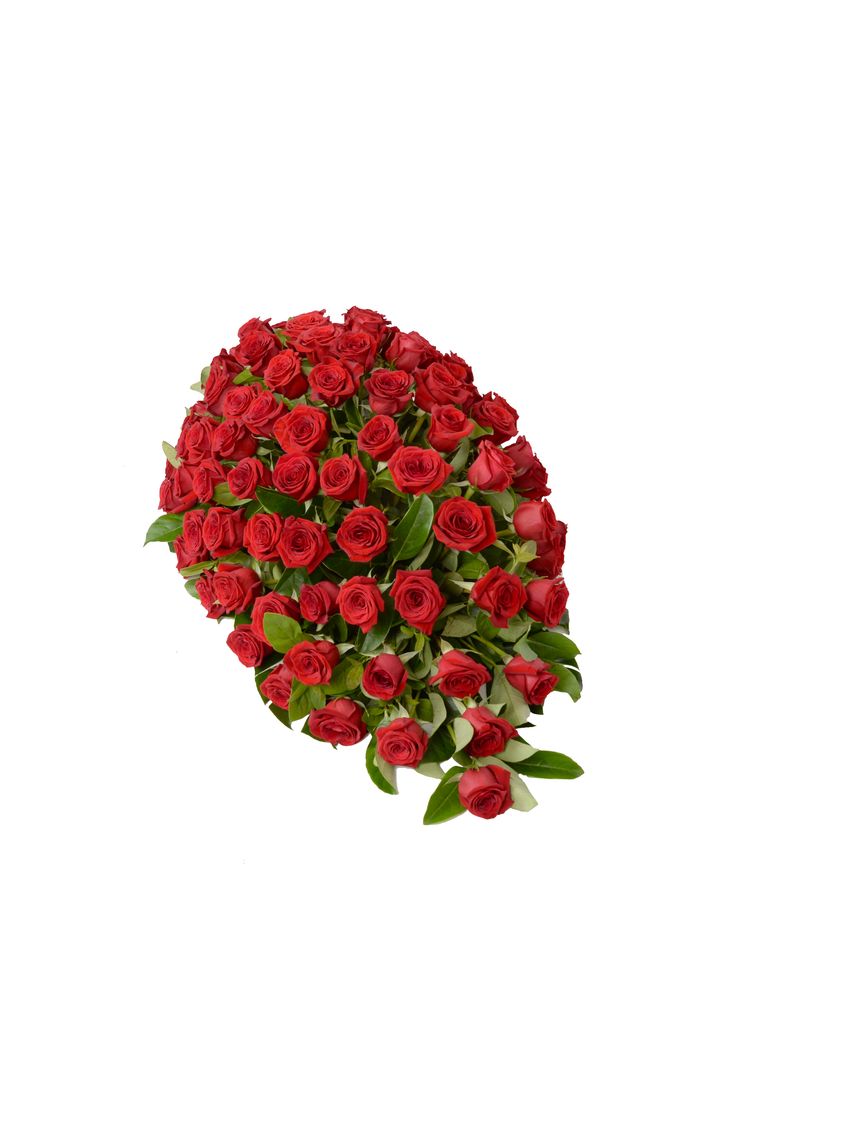 Timeless Red Premium