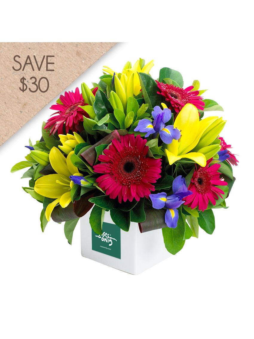 Vibrant Delight Special