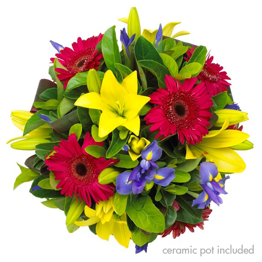 Vibrant Delight Special