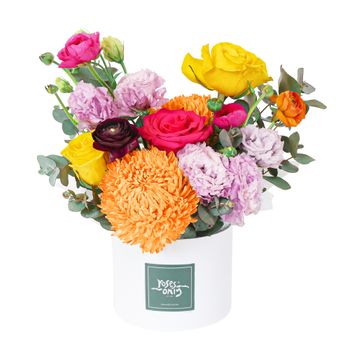 Vivid Pop Hatbox Petite Flowers