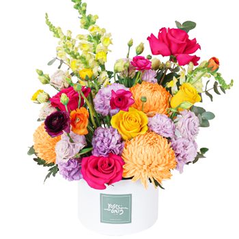 Vivid Pop Hatbox Premium Flowers