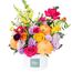 Vivid Pop Hatbox Premium Flowers