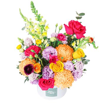 Vivid Pop Hatbox Premium Flowers