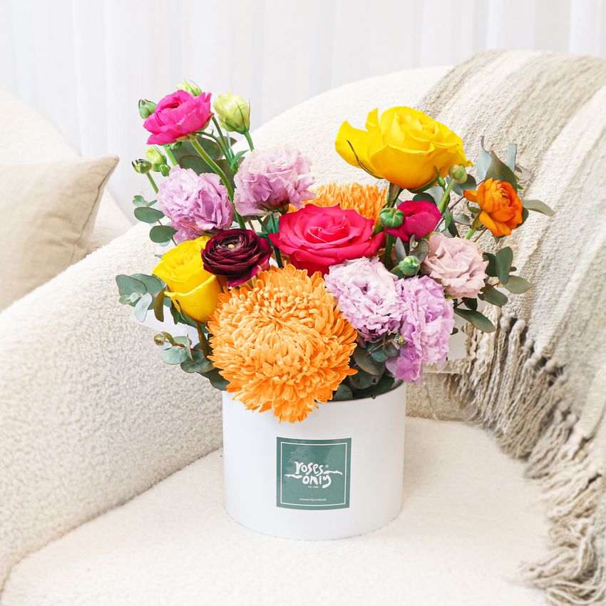 Vivid Pop Hearts Bundle