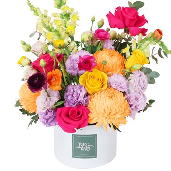 Vivid Pop Hatbox Premium Flowers