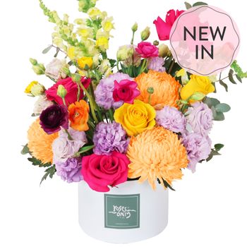 Vivid Pop Luxe Flowers