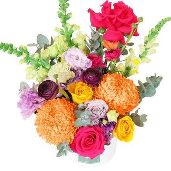 Vivid Pop Hatbox Flowers