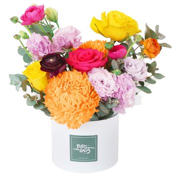 Vivid Pop Hatbox Petite Flowers