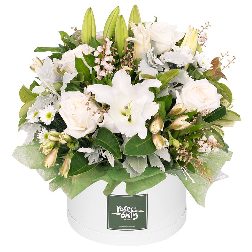White Elegance Hatbox - Premium