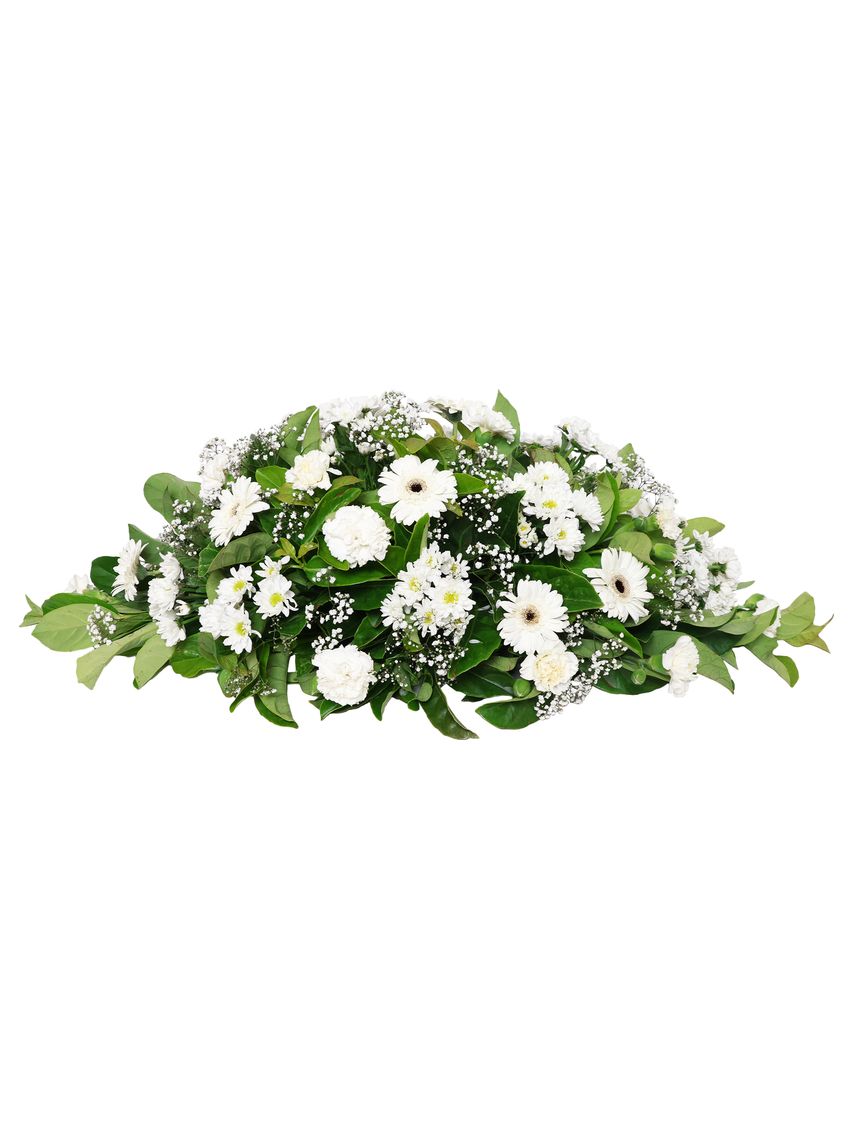 Ivory Garden Petite