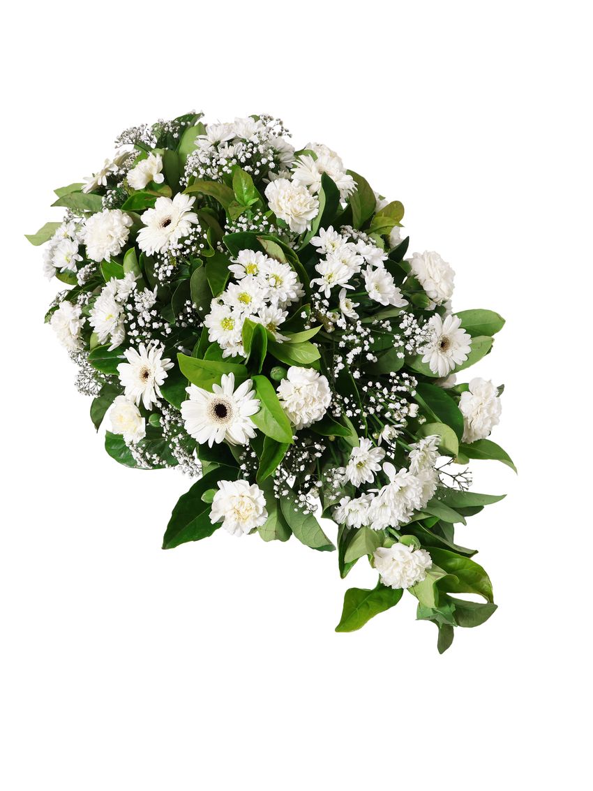 Ivory Garden Petite