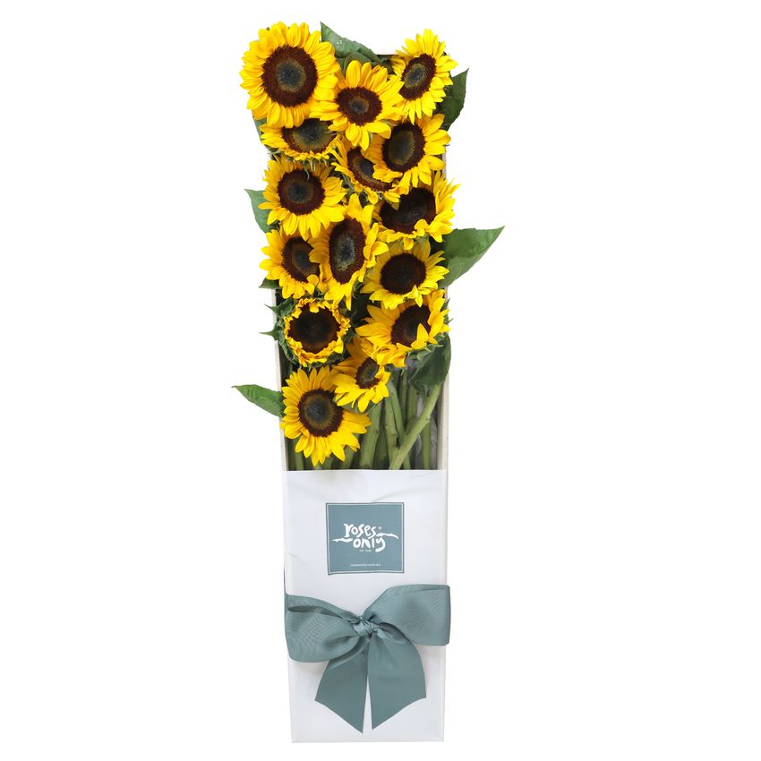 15 Sunflowers Gift Box